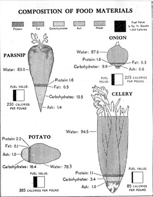 [Illustration: Composition of food materials]